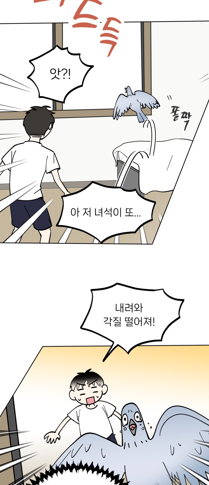 17 페이지