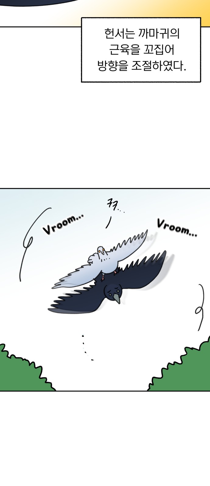 43 페이지