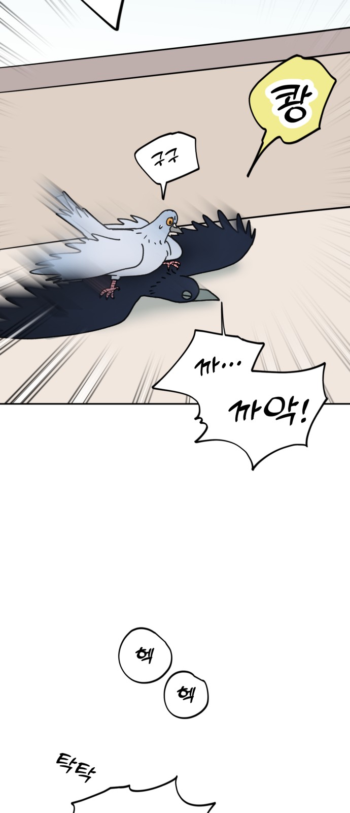 46 페이지