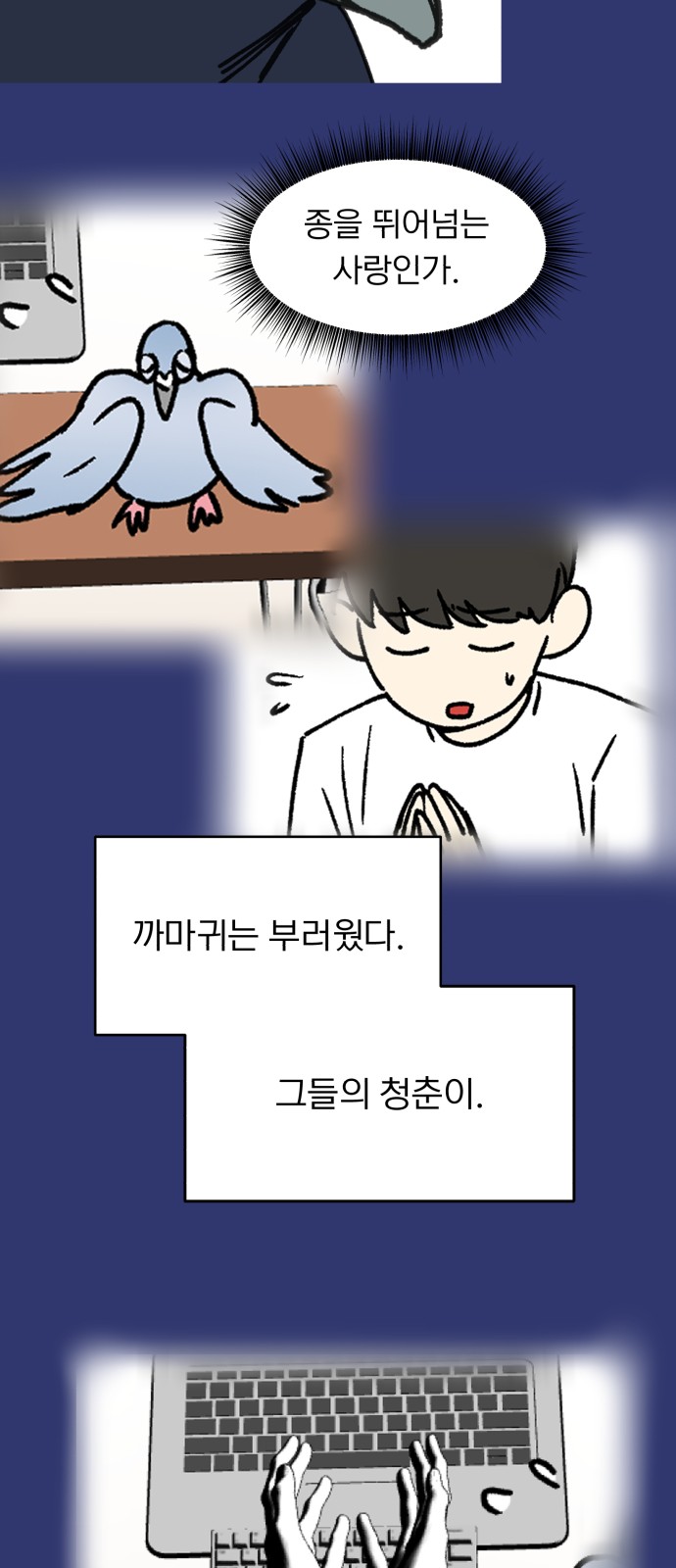 11 페이지