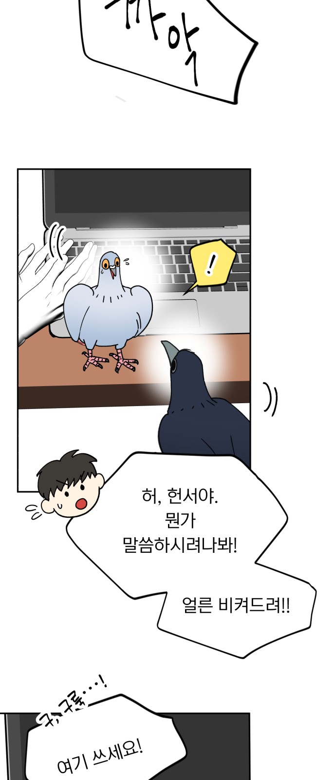 15 페이지