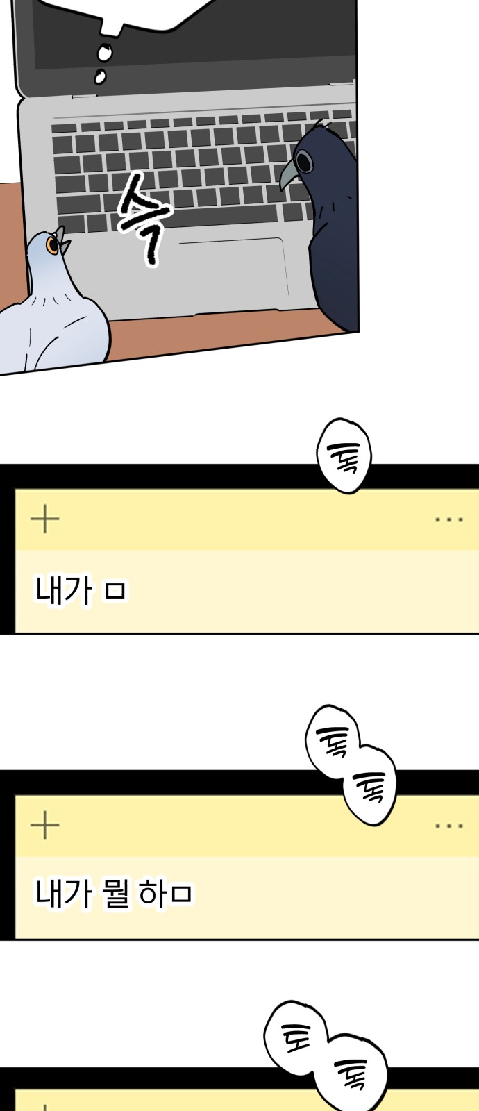 16 페이지