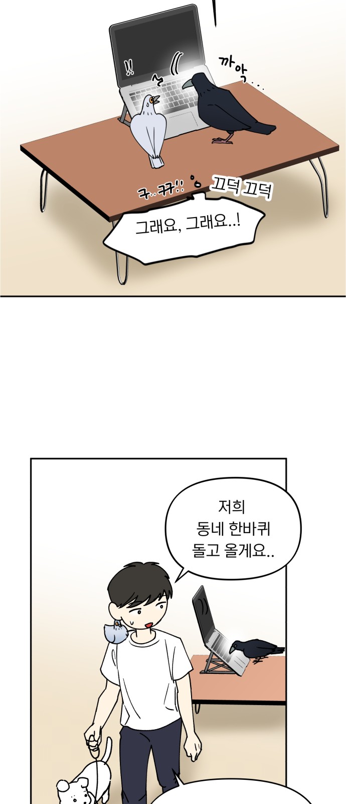 31 페이지