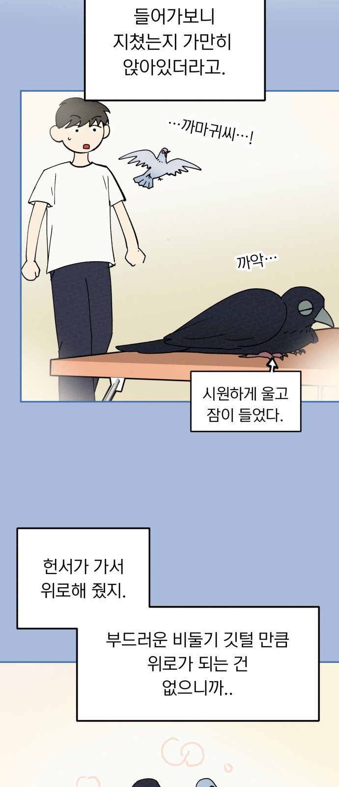 41 페이지