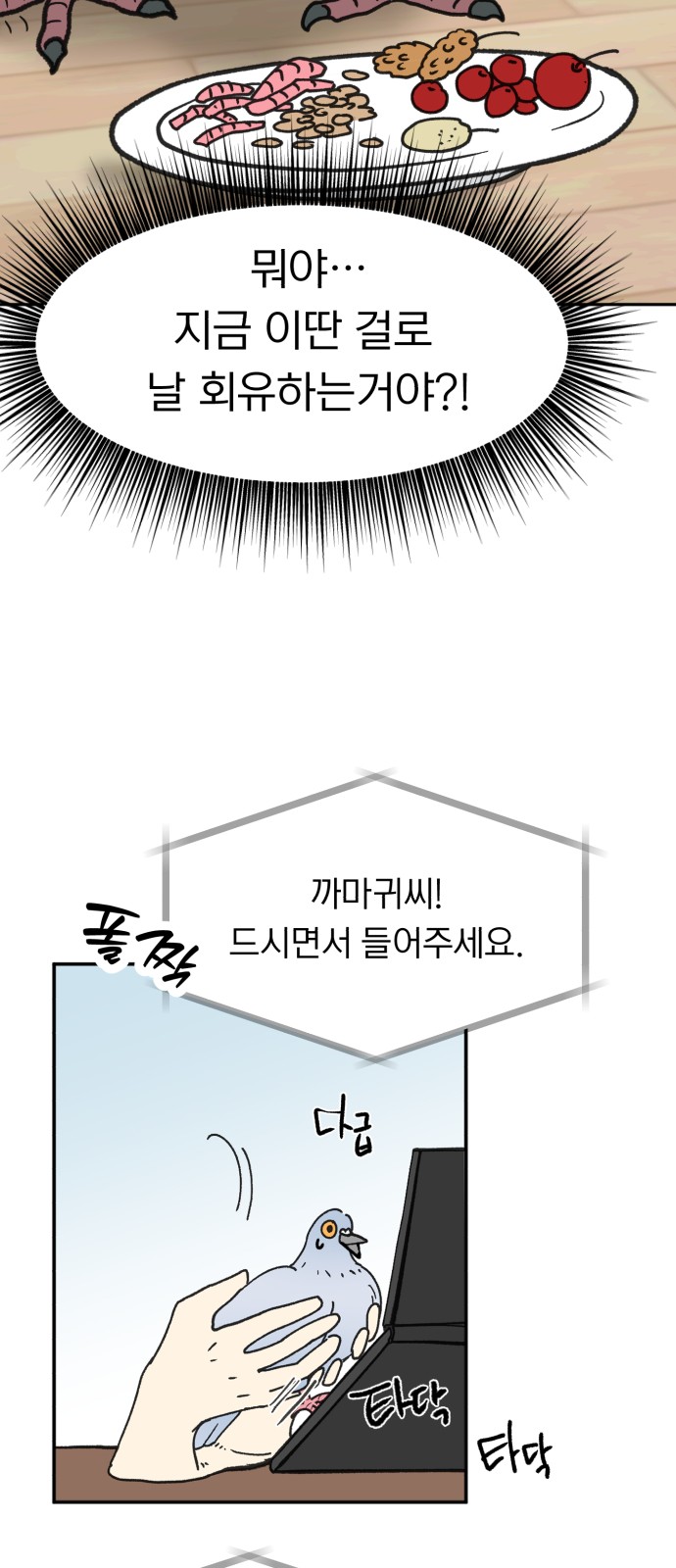 5 페이지