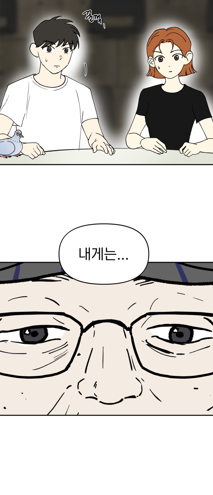 15 페이지