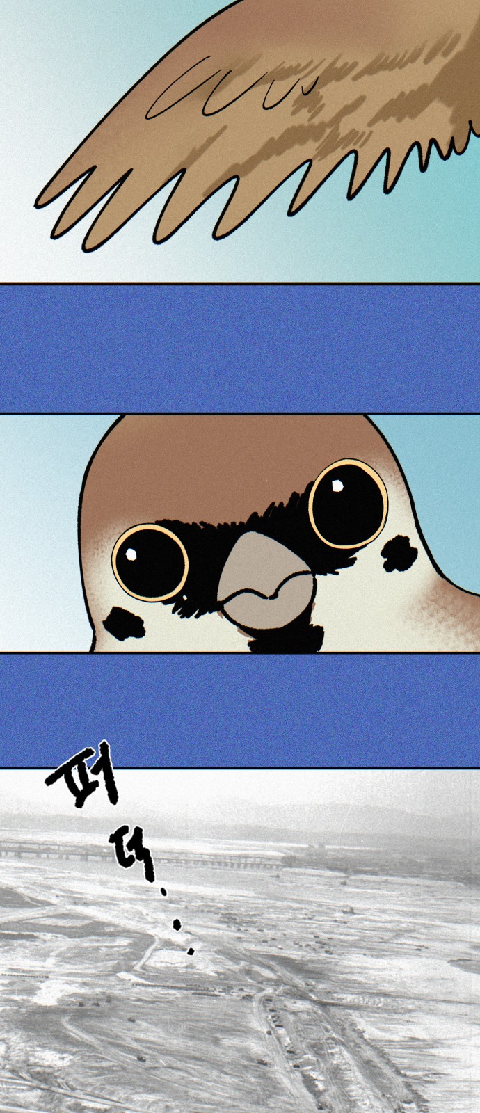 34 페이지