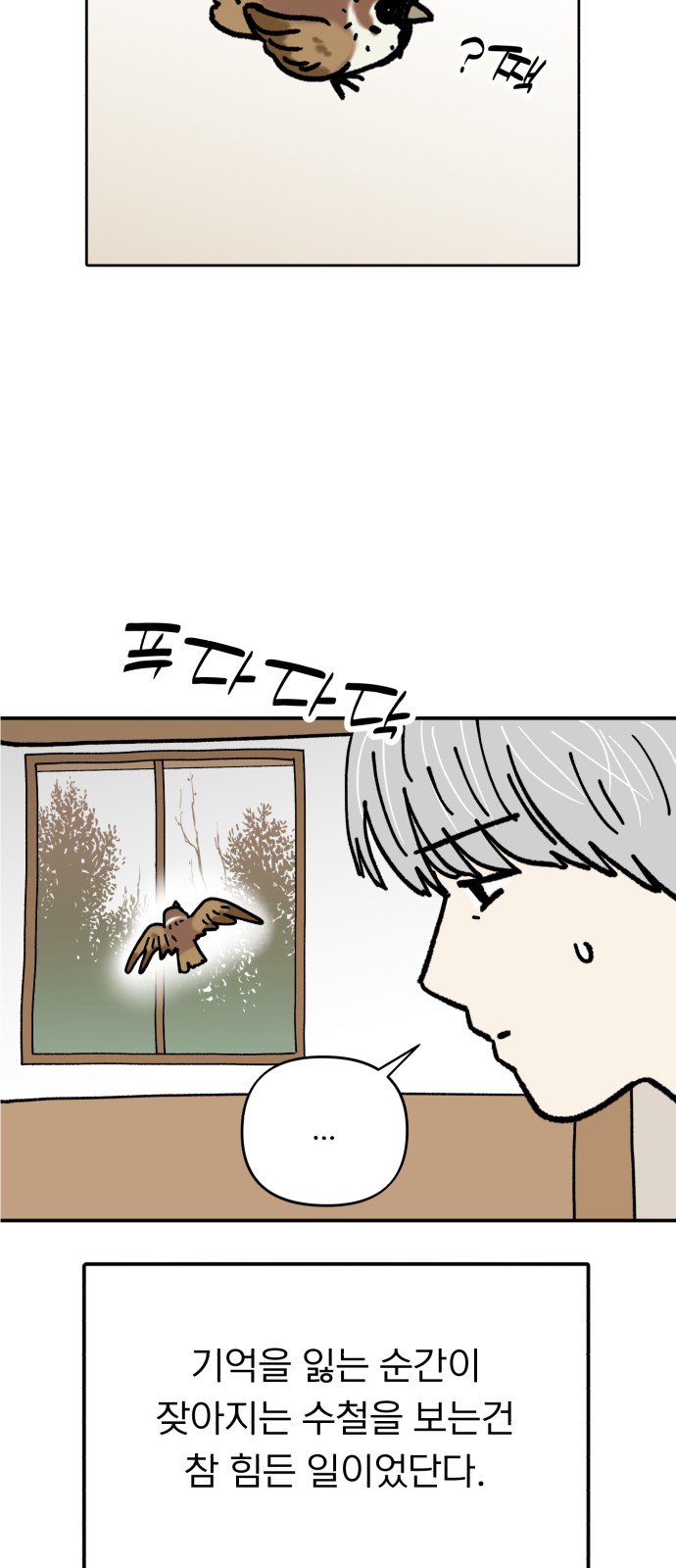 40 페이지