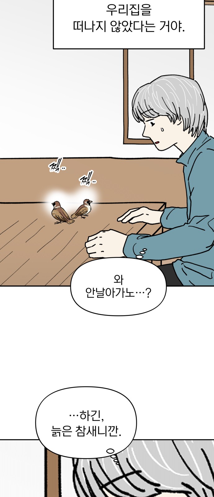 45 페이지