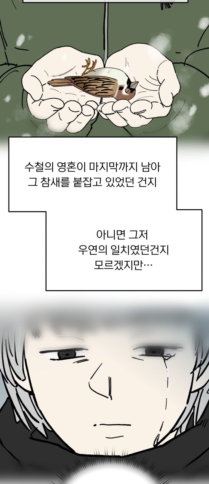 52 페이지
