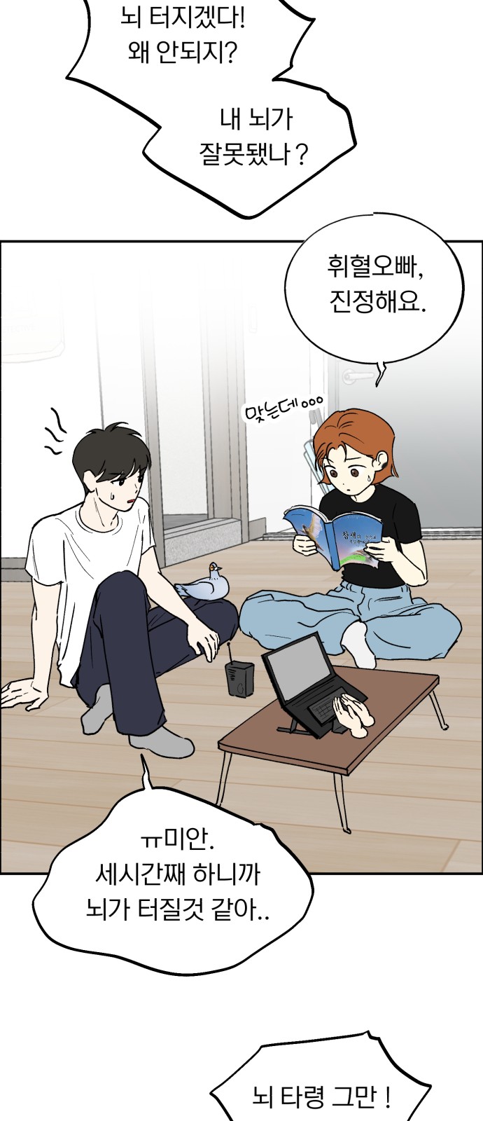 46 페이지