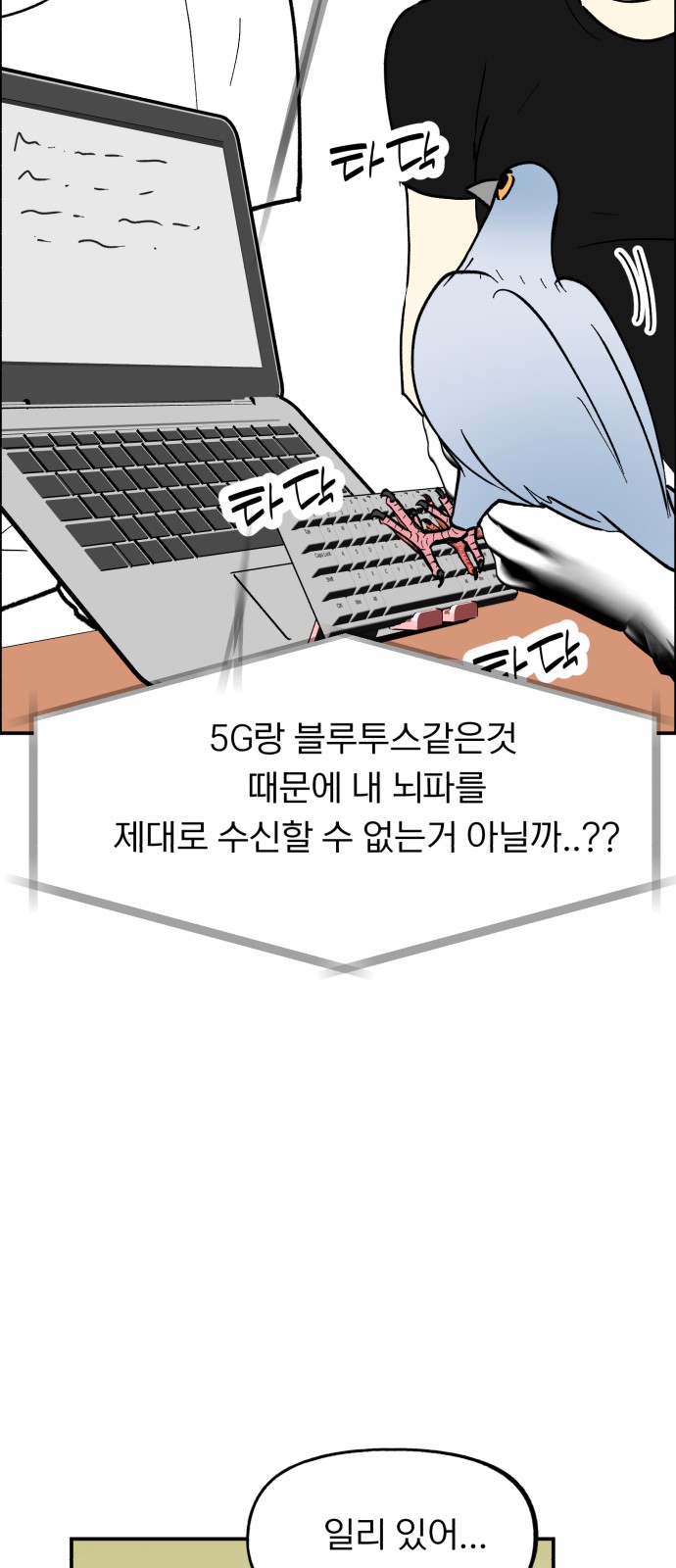 48 페이지