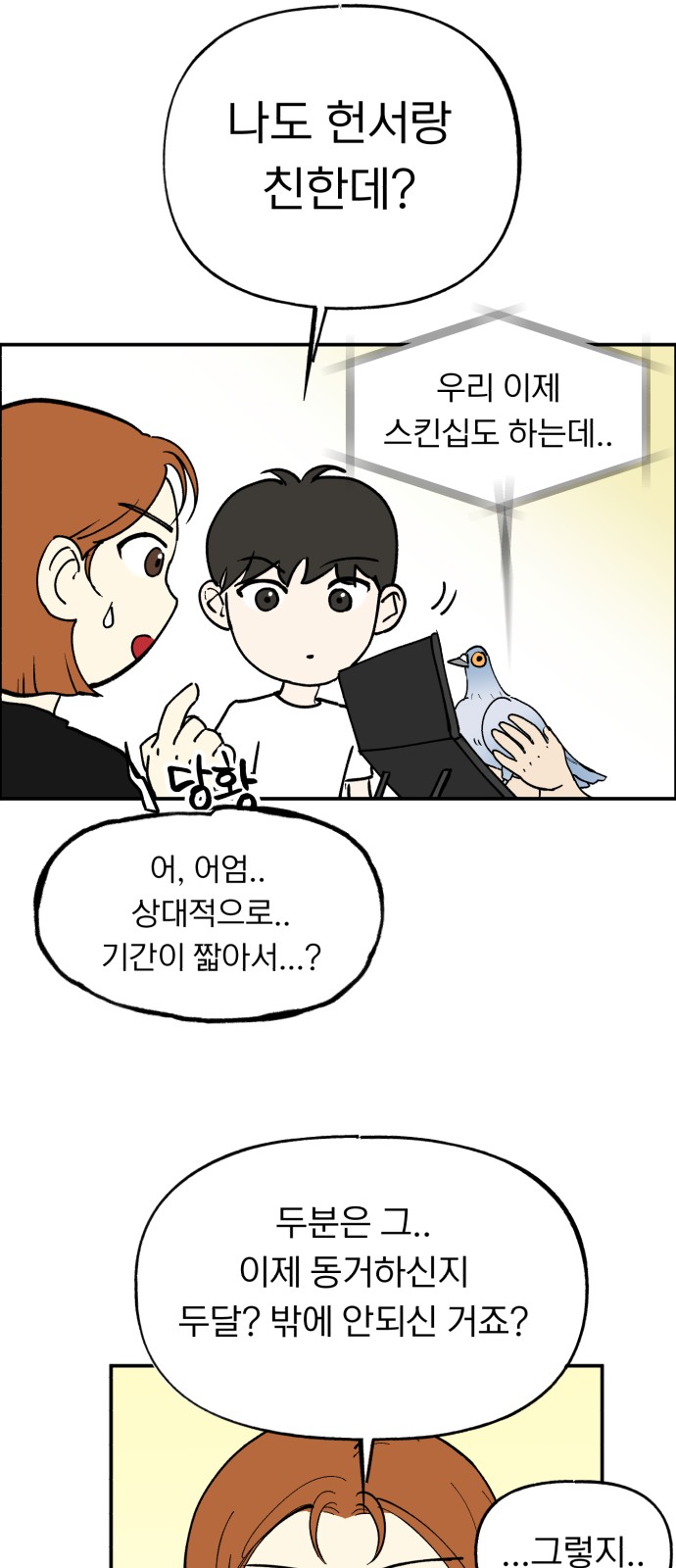 52 페이지
