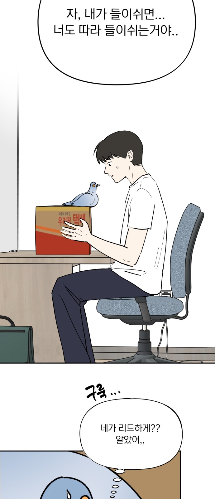 13 페이지