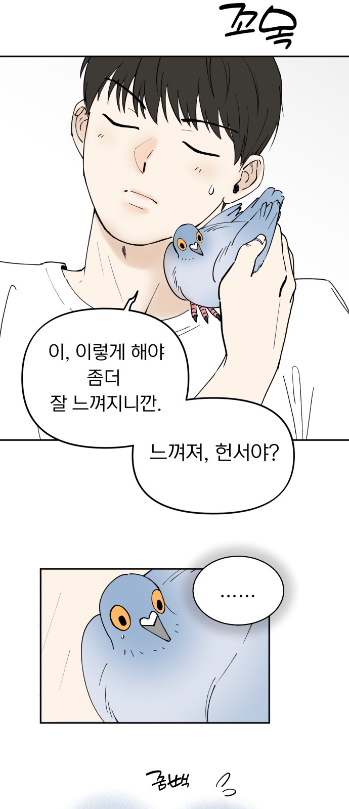 35 페이지