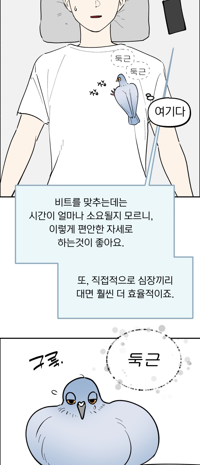 48 페이지