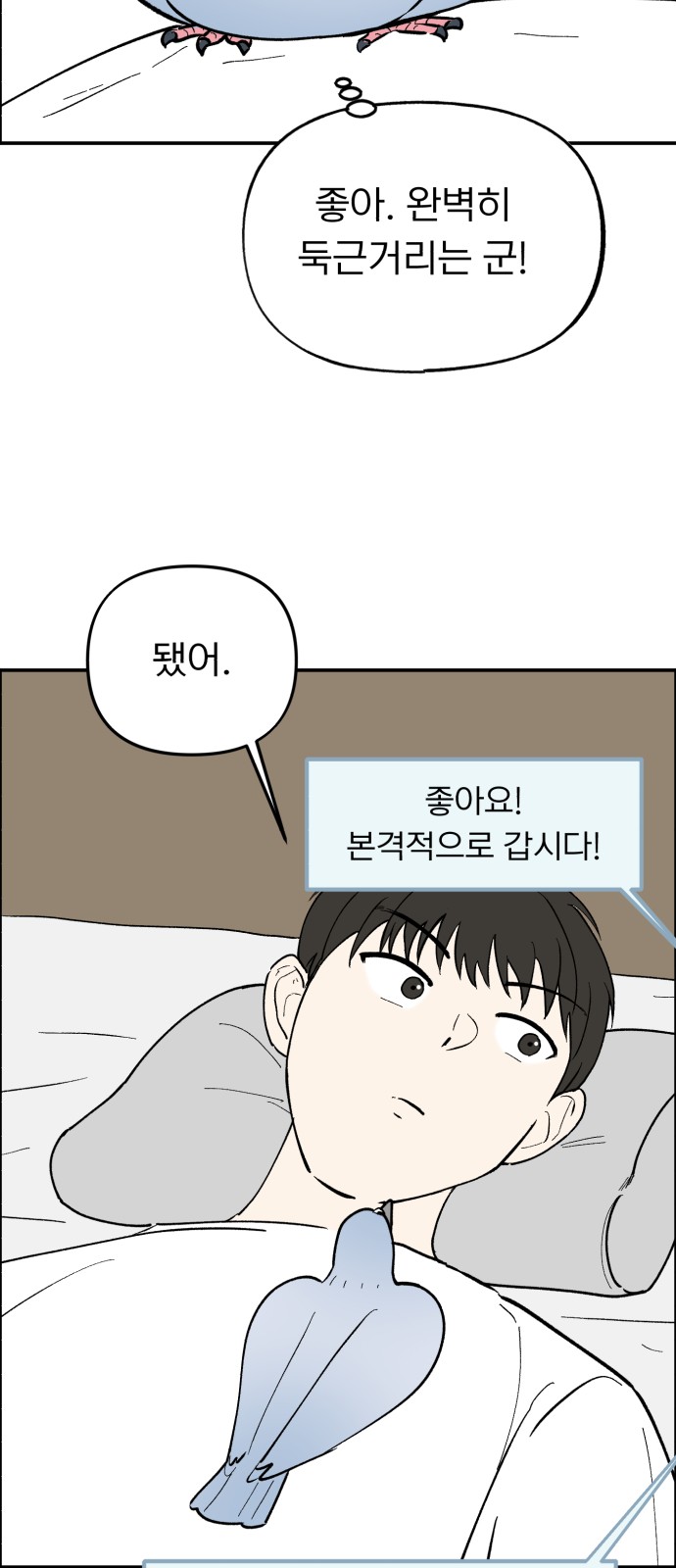 49 페이지