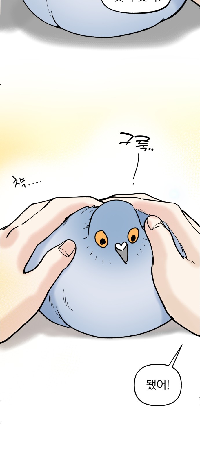 51 페이지