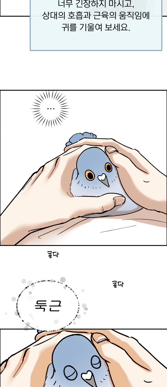 56 페이지