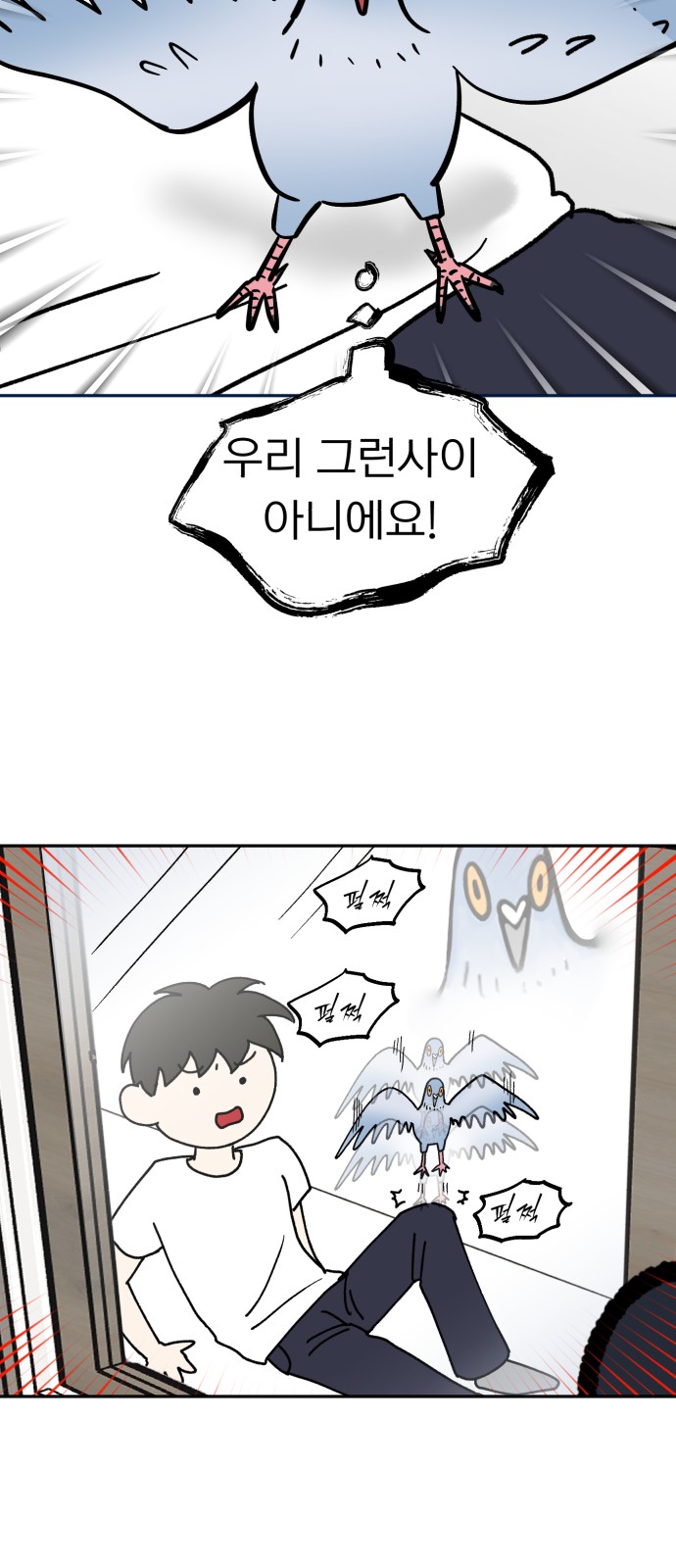 17 페이지