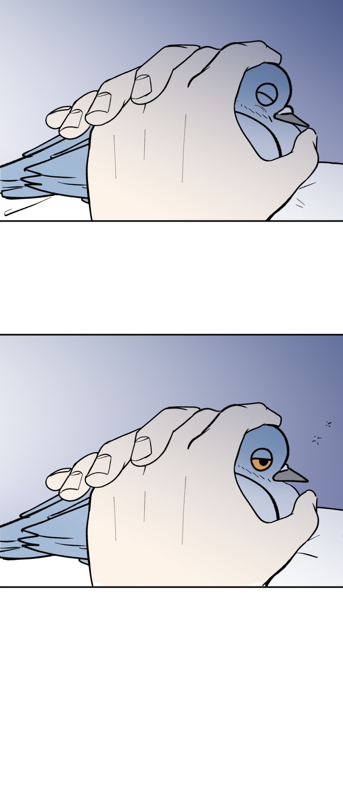 41 페이지