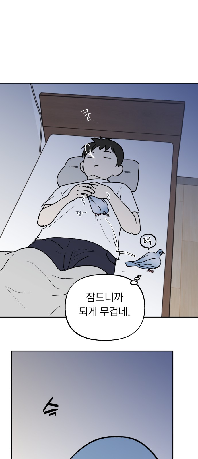 42 페이지