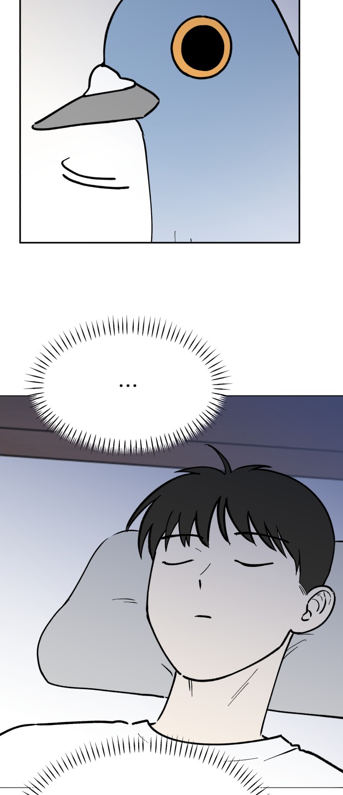 43 페이지