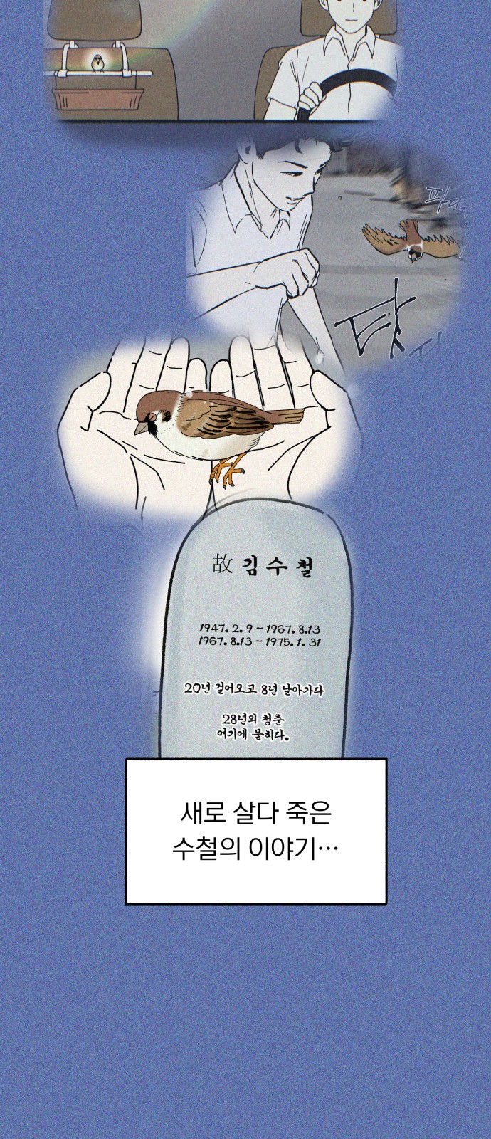 51 페이지
