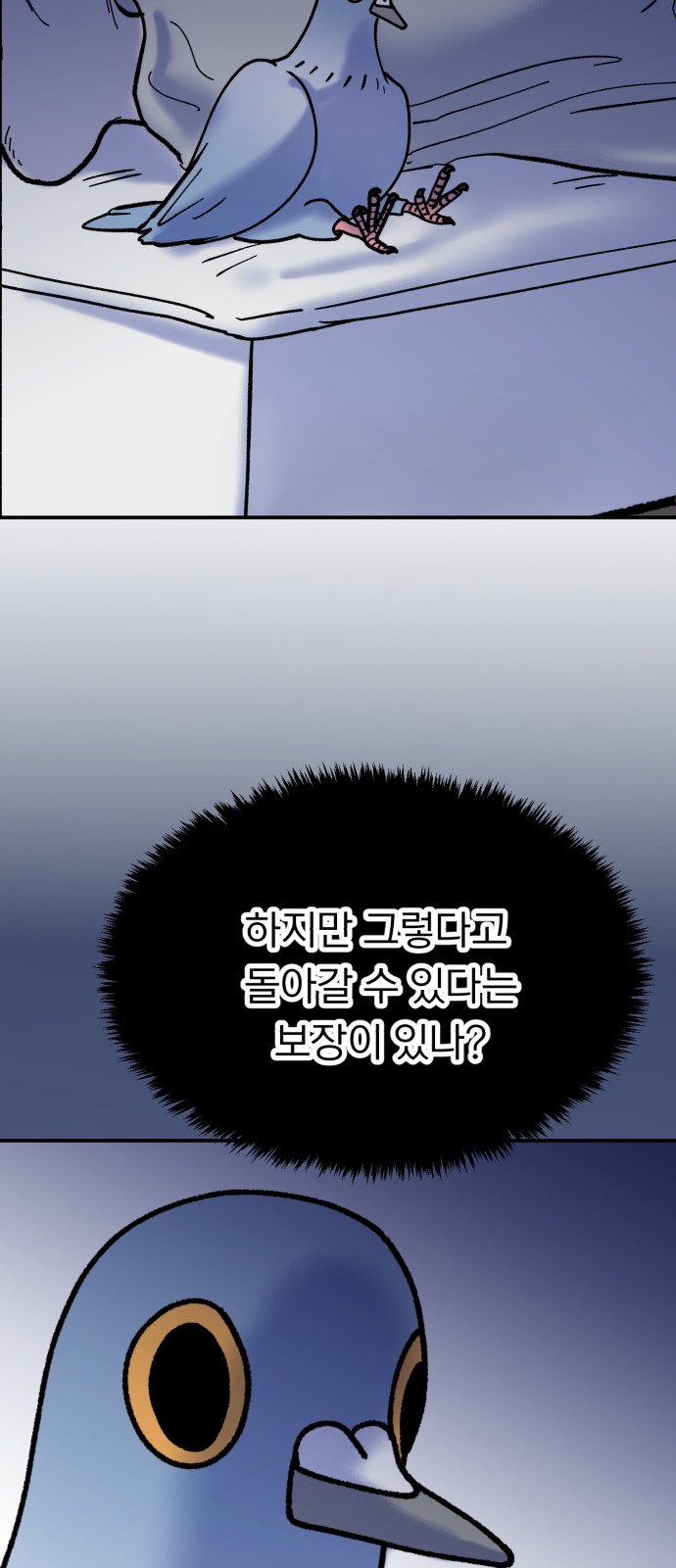 53 페이지