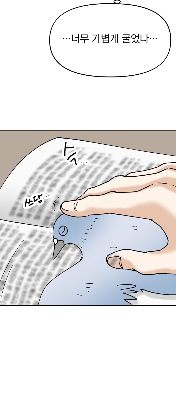16 페이지