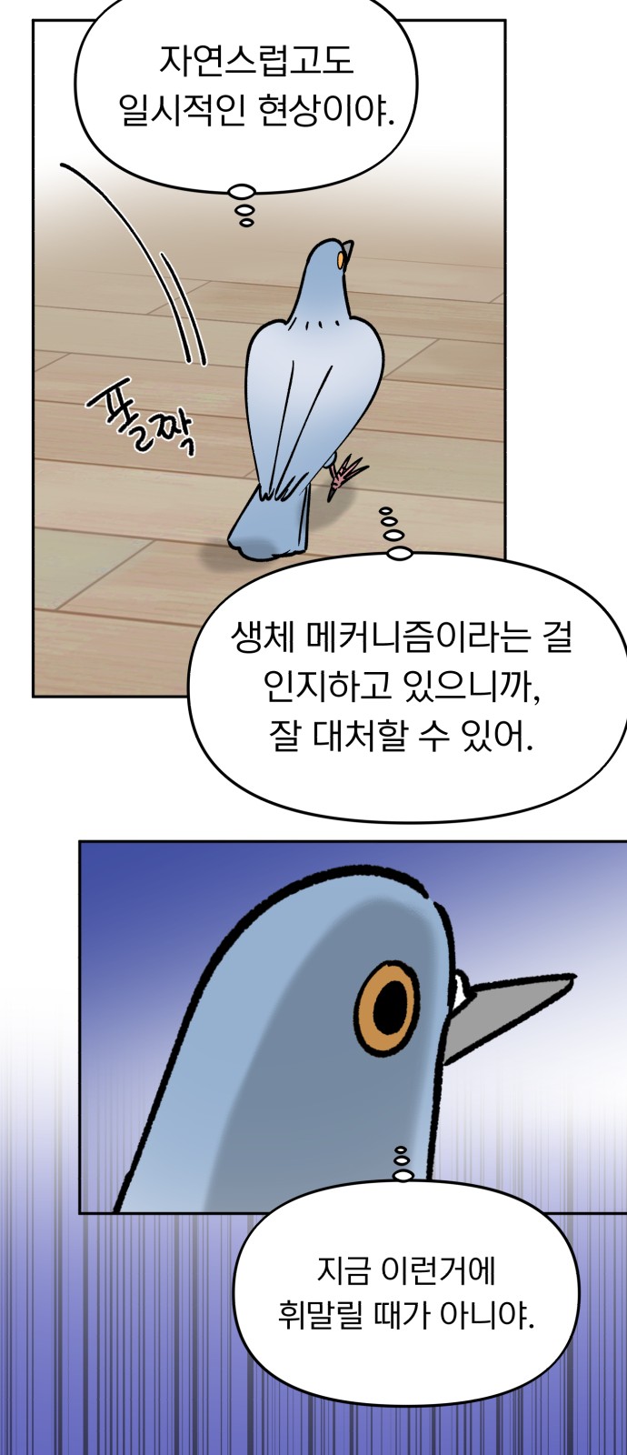 43 페이지