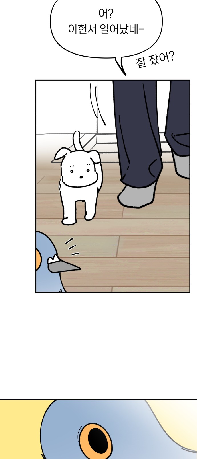 49 페이지