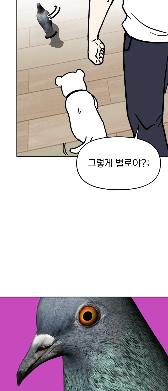 53 페이지