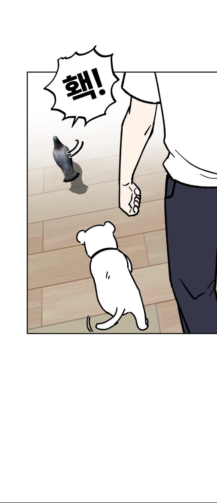 15 페이지