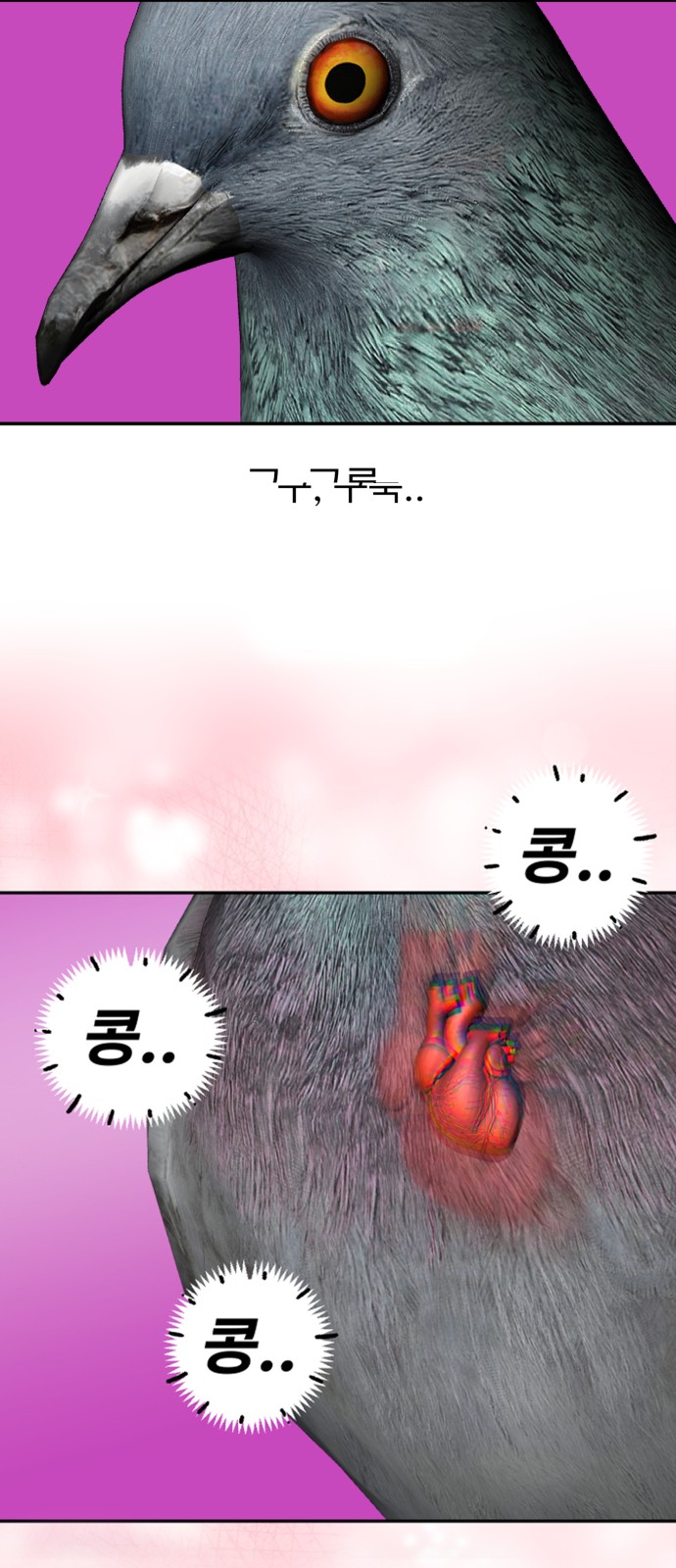 16 페이지
