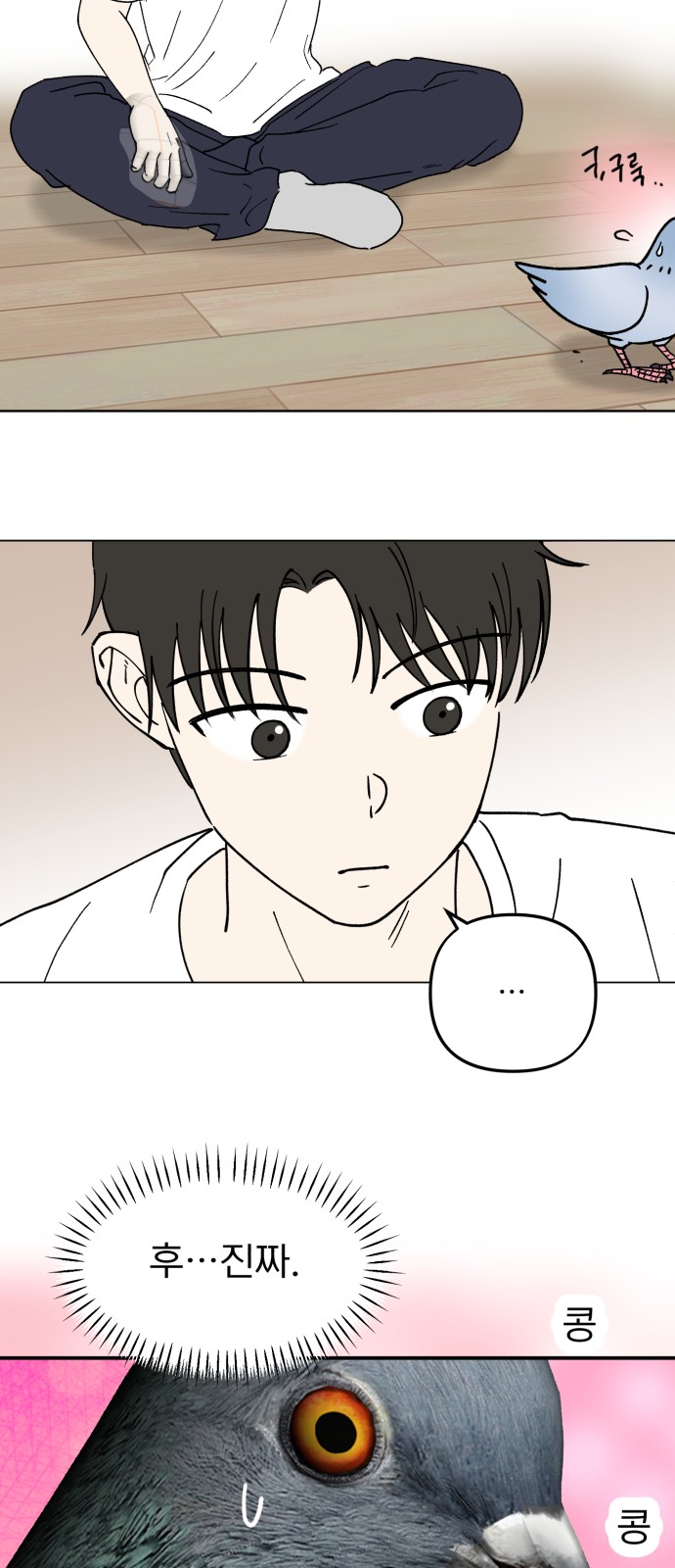 19 페이지