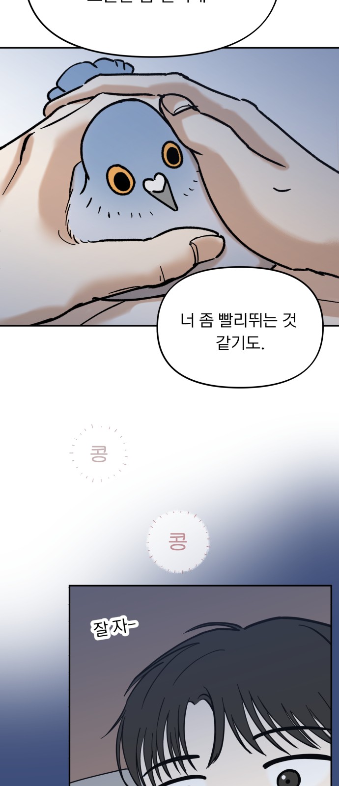 39 페이지
