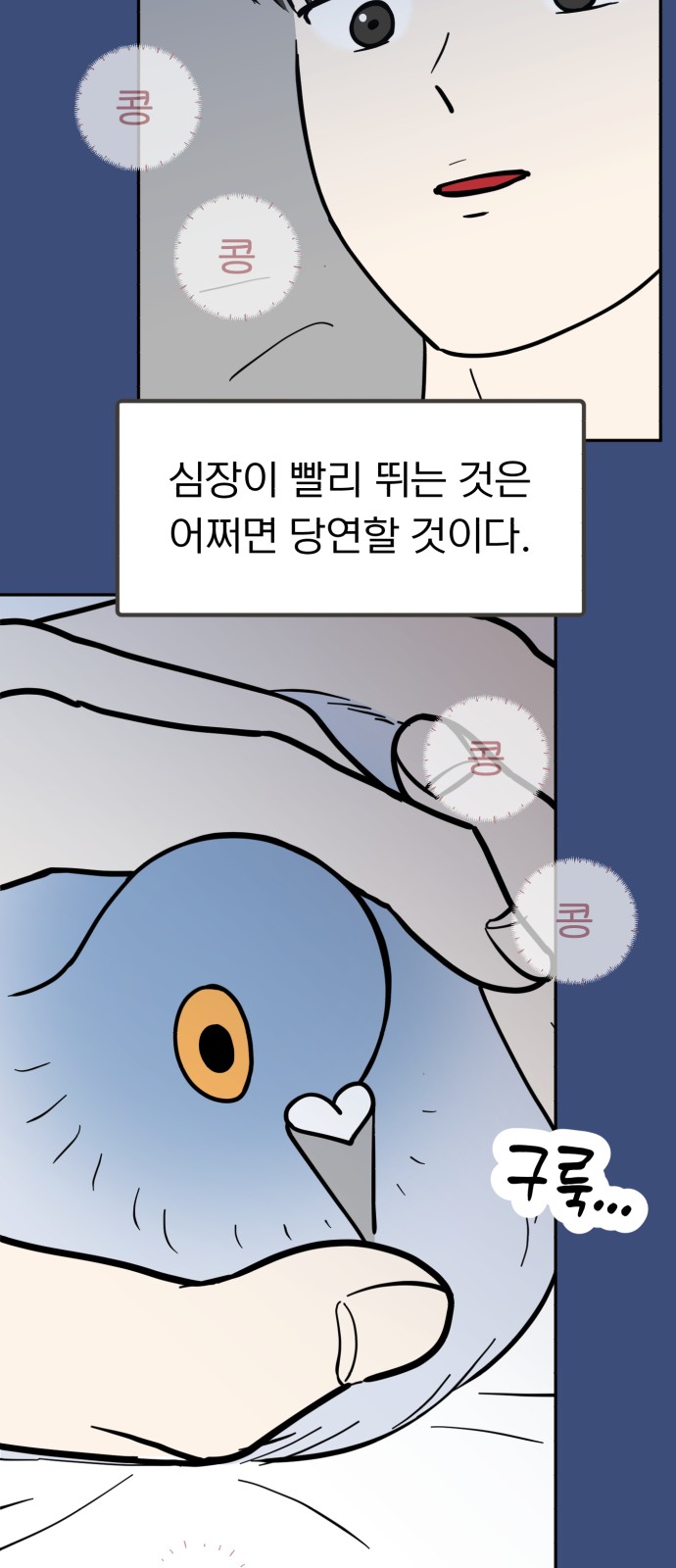 40 페이지