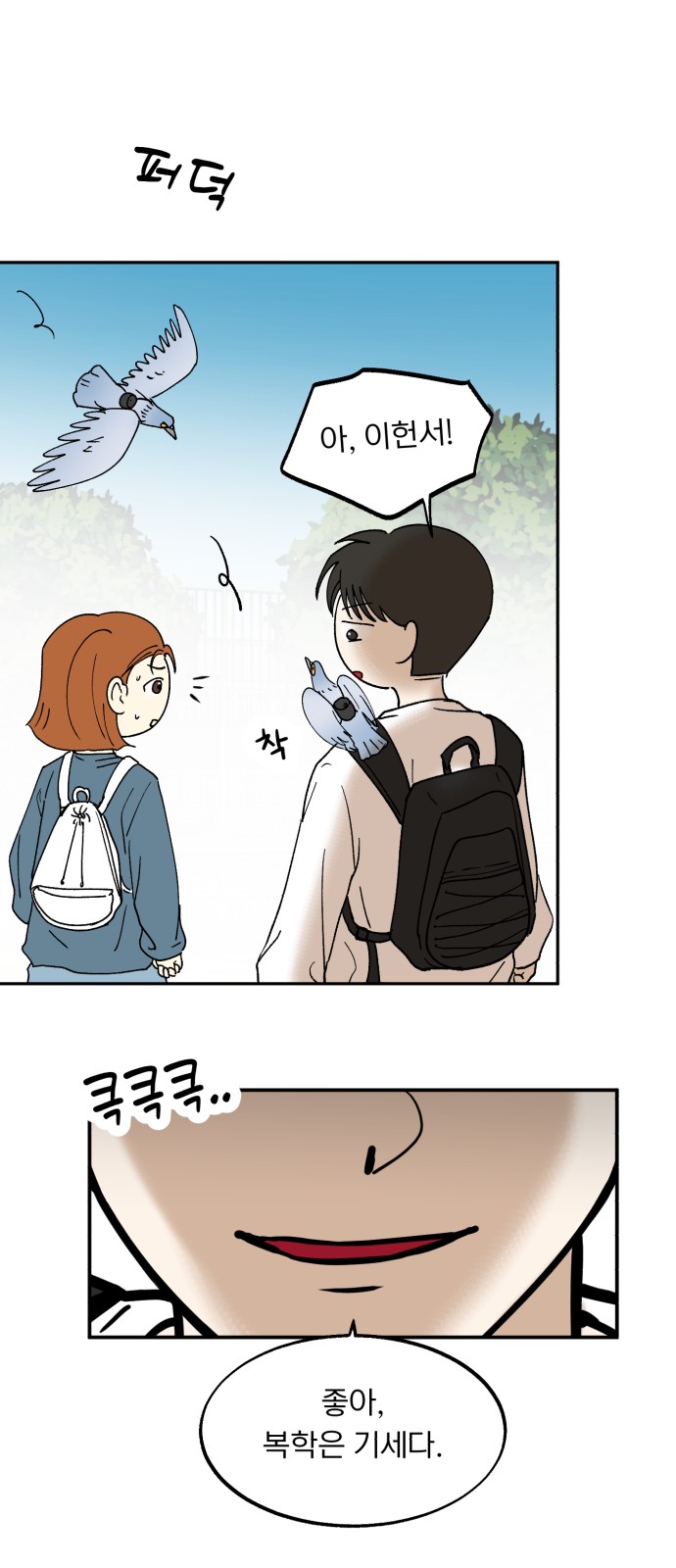 14 페이지