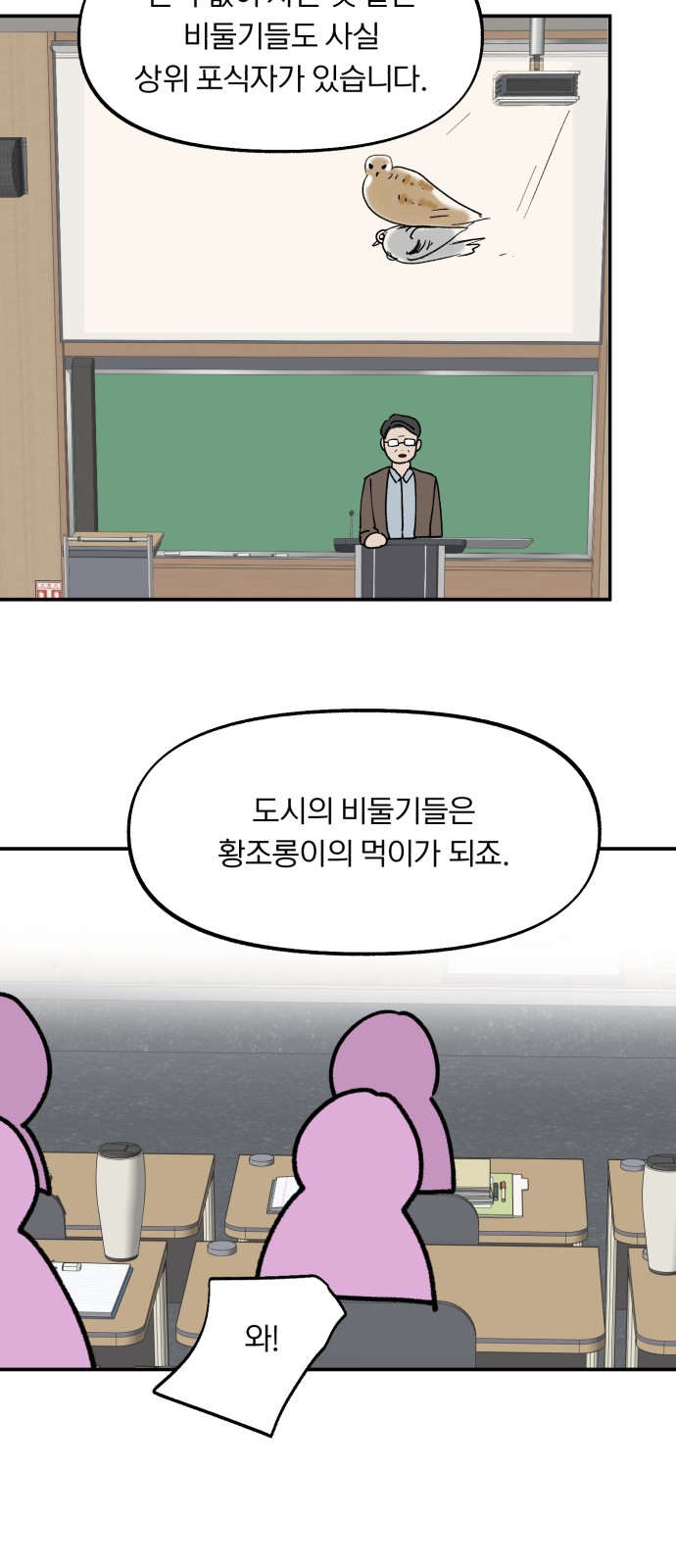 47 페이지