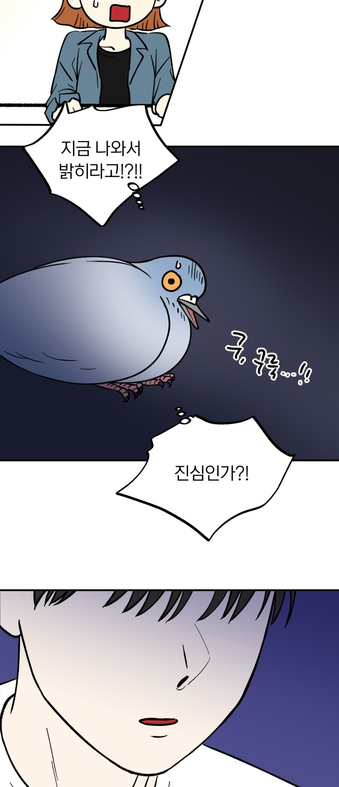 41 페이지