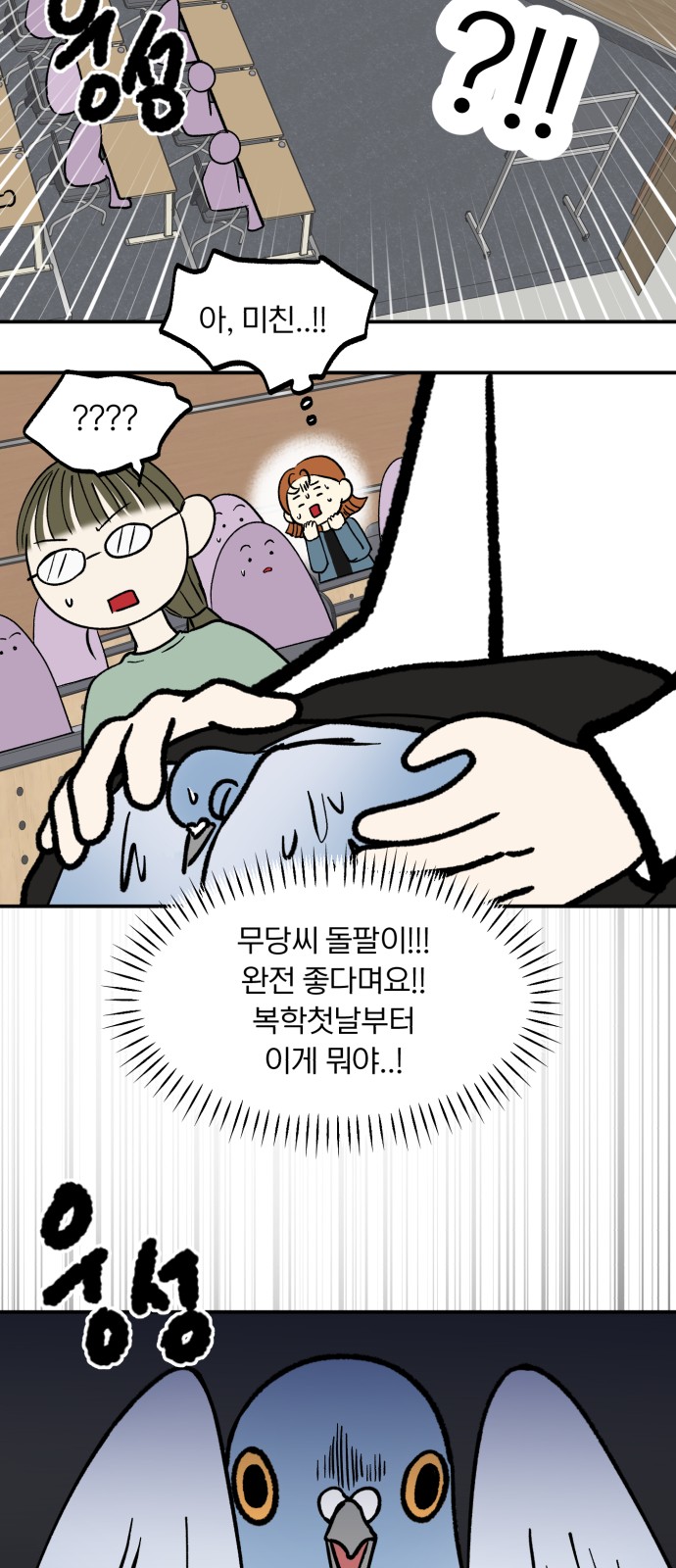 43 페이지