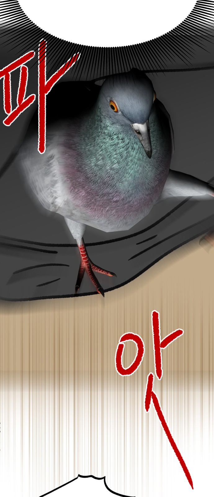 48 페이지