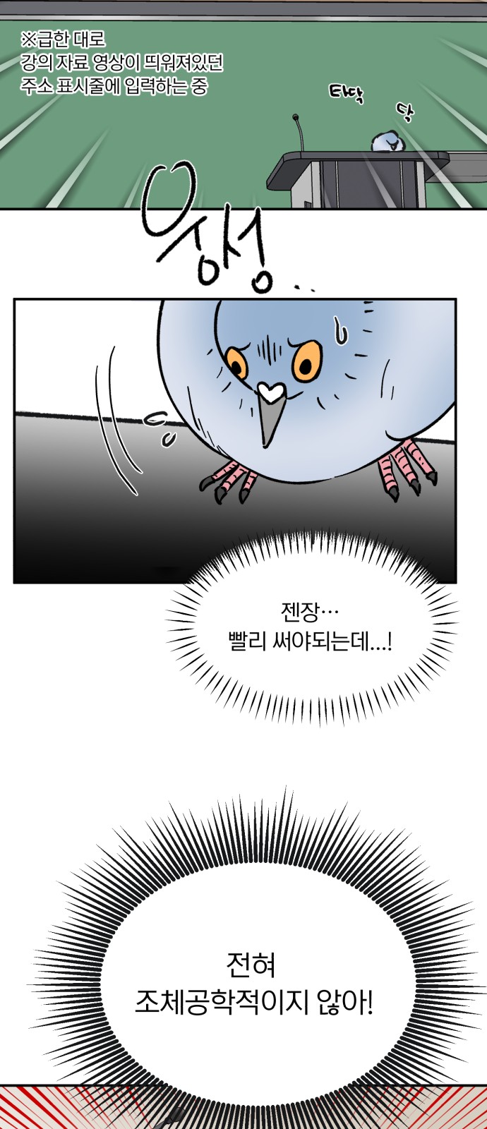 26 페이지