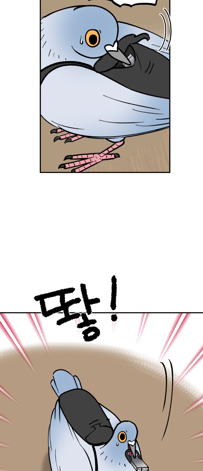 13 페이지