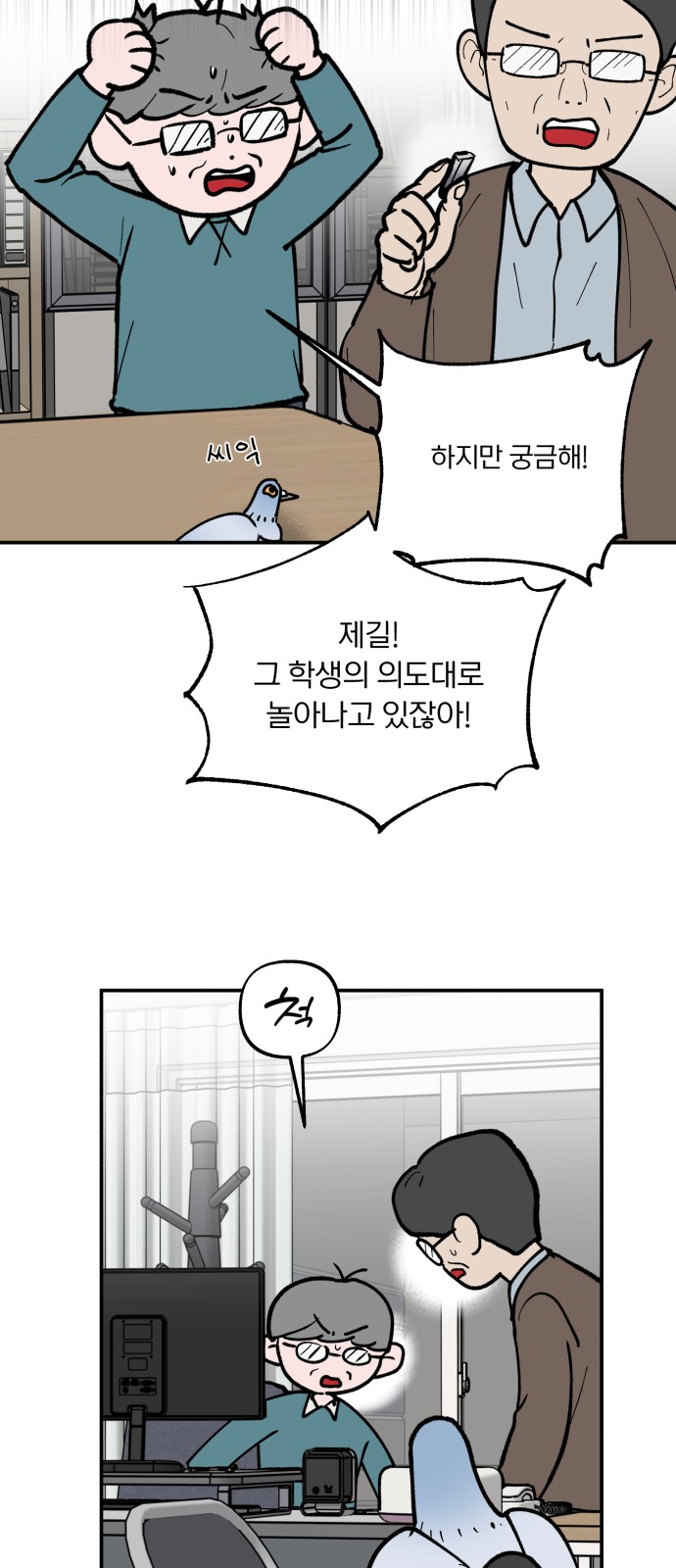 15 페이지