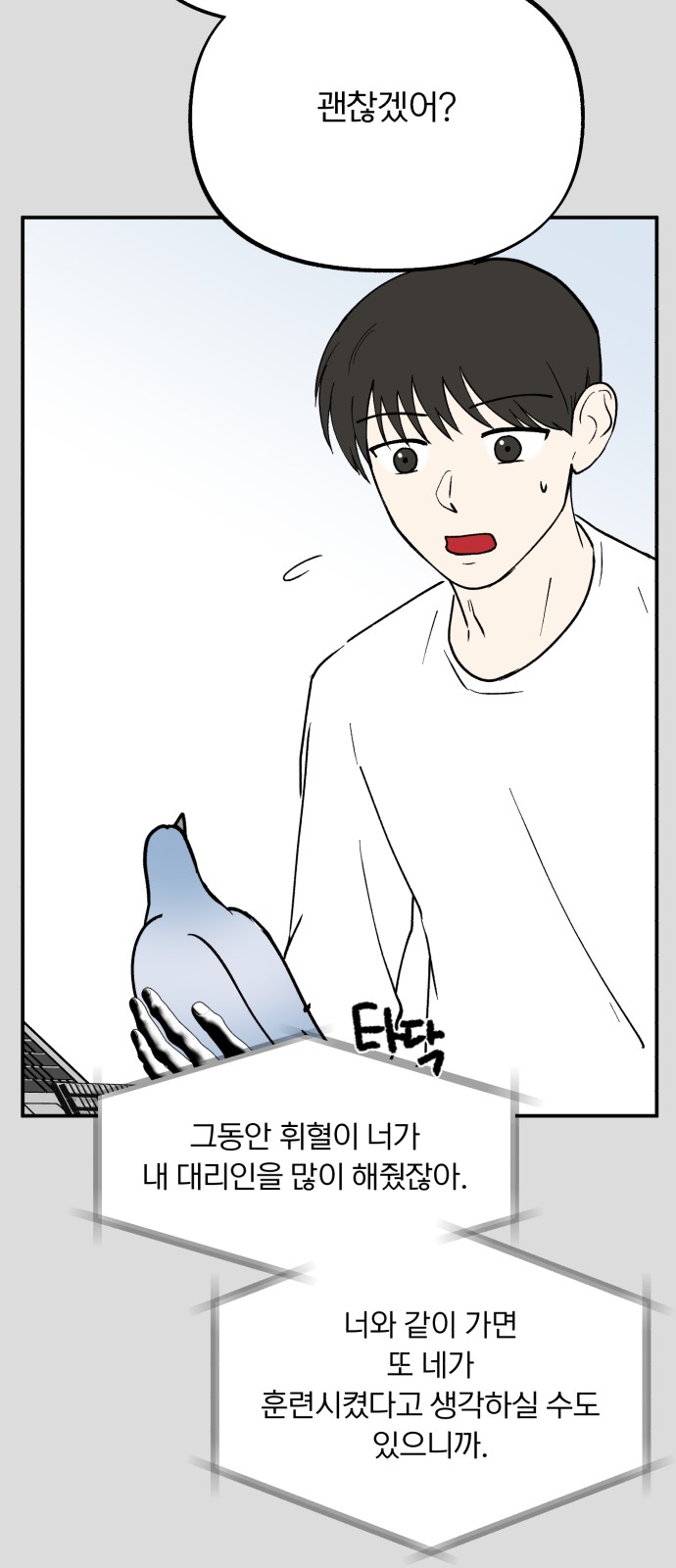 17 페이지