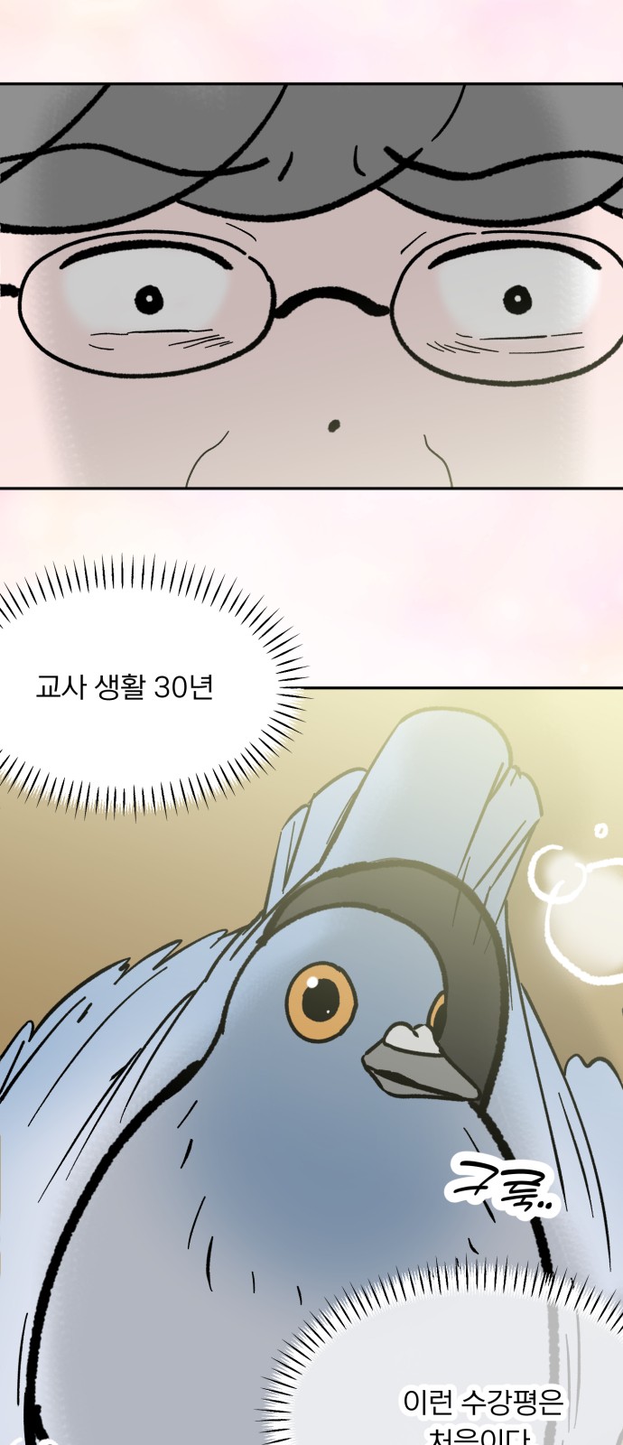 41 페이지