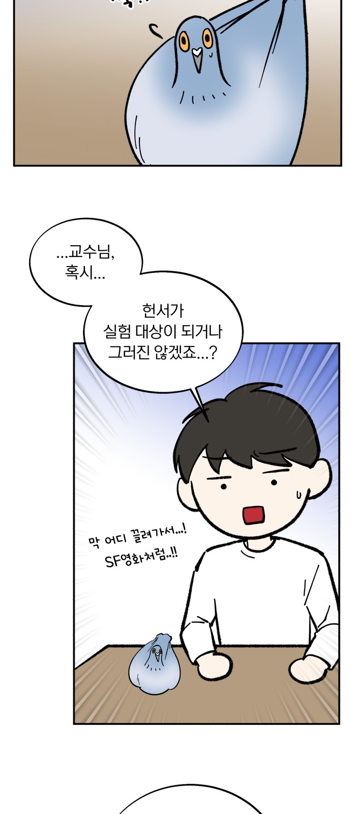 15 페이지
