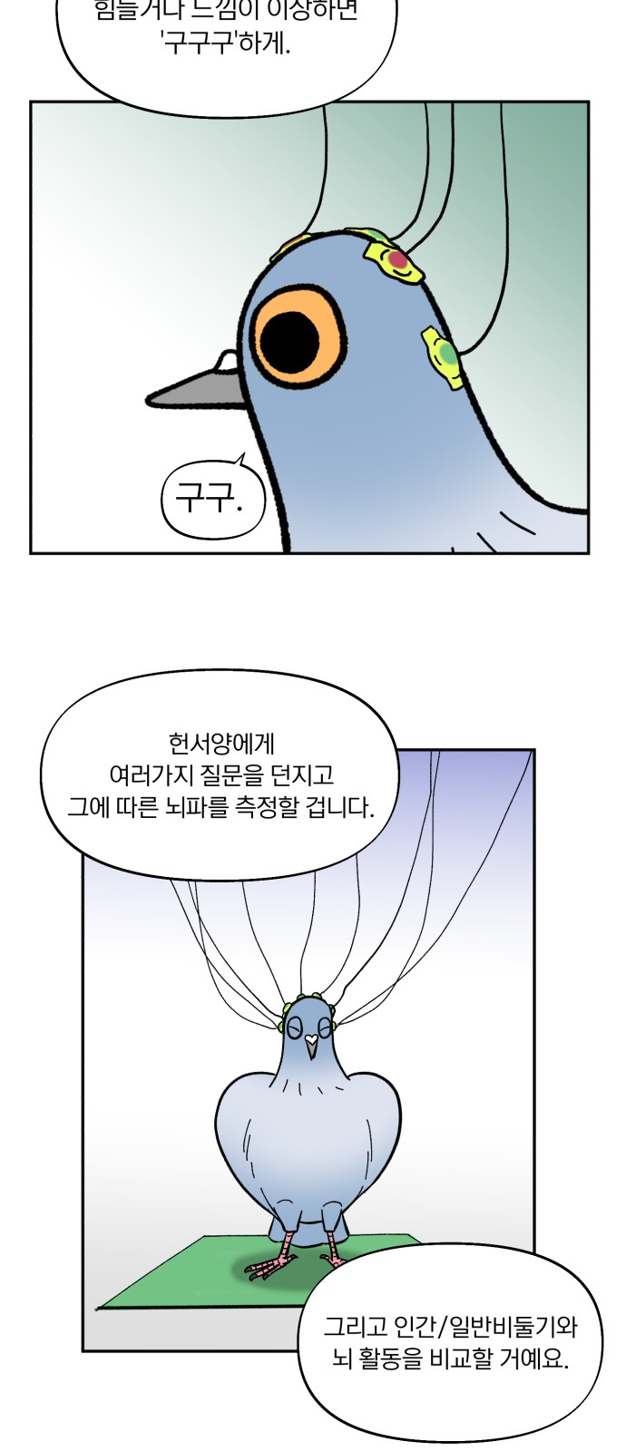 35 페이지